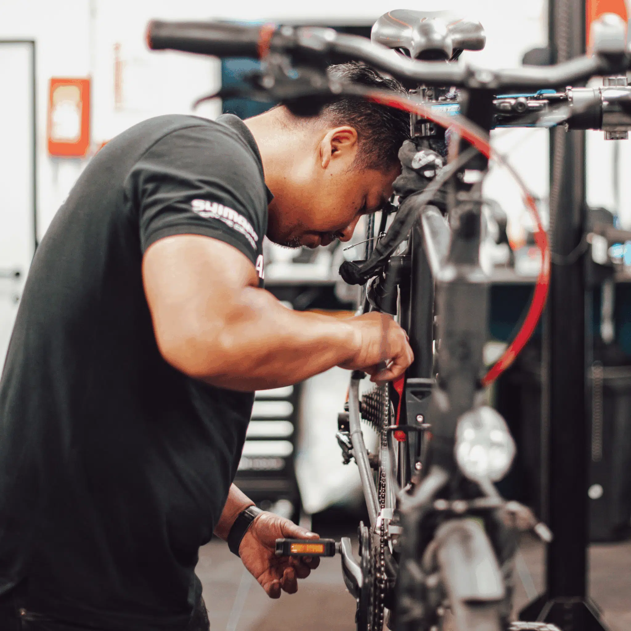 Indoor & onderhoud 2