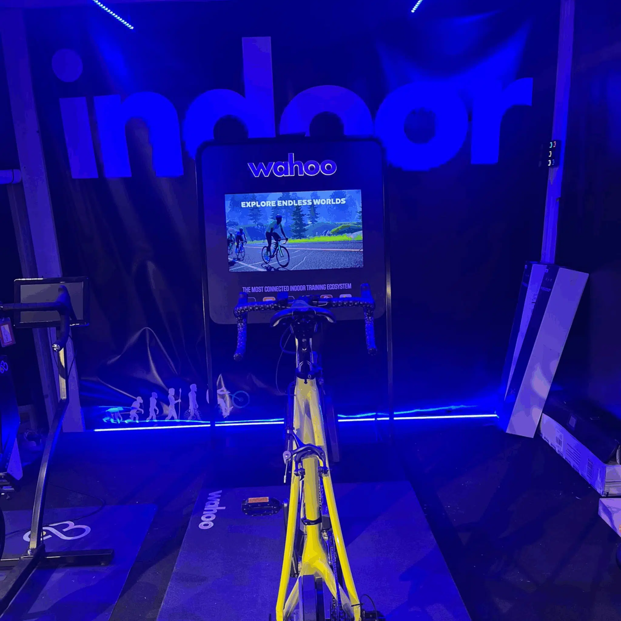 Indoor & onderhoud 5